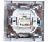 Компьютерная розетка STEKKER 1-местная RJ-45, серия Эрна, белая 39047 9
