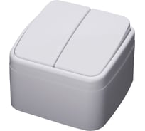 Двухклавишный выключатель STEKKER открытой установки 250В 10А, белый, серия Basic PSW10-42-20 39032
