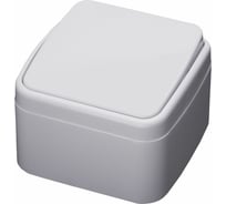 Выключатель STEKKER одноклавишный открытой установки 250В, 10А, белый, серия Basic PSW10-41-20 39031