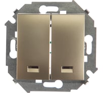 Двухклавишный выключатель Simon с подсветкой, 16А, 250В, винтовой зажим, шампань 1591392-034