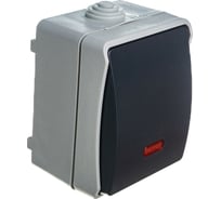 Одноклавишный выключатель IEK ВС20-1-1-ФСр ФОРС, для открытой установки, ОП, 10А, серый, IP54, ИЭК EVS11-K03-10-54-DC