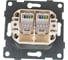 Механизм компьютерной розетки GUSI ELECTRIC Bravo RJ45, двойной, СУ, серебро С10К2-004 4