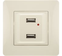 Розетка USB GUSI ELECTRIC Ugra двойная, СУ, бежевая С11USB2-003-СБ