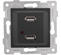 Механизм розетки GUSI ELECTRIC Ugra USB, двойной, СУ, графит С11USB2-010