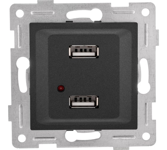 Механизм розетки GUSI ELECTRIC Ugra USB, двойной, СУ, графит С11USB2-010
