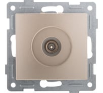 Механизм антенной розетки GUSI ELECTRIC Bravo, одинарной, СУ, золото С10А1-005