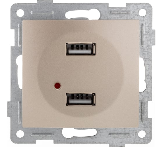 Механизм розетки GUSI ELECTRIC Bravo USB, двойной, СУ, золото С10USB2-005