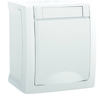 Розетка Panasonic с/з с крышкой белая IP54 PACIFIC 54726 WPTC4212-2WH