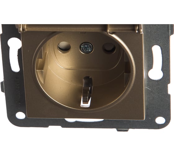 Розетка Panasonic с/з с крышкой бронза Karre Plus 54842 WKTT0210-2BR-RES