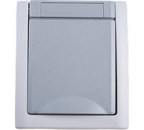 Розетка Panasonic с/з с крышкой серая IP54 PACIFIC 54716 WPTC4212-2GR
