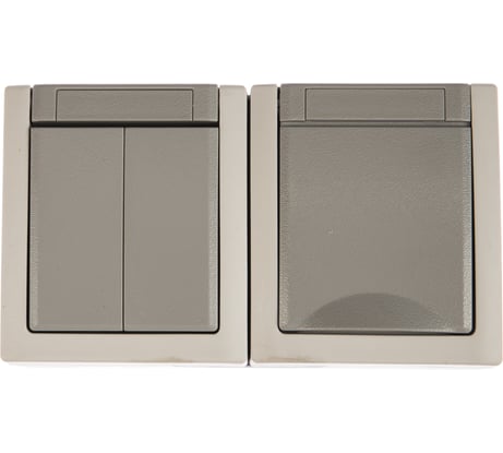 Блок Panasonic Выключатель 2кл + Розетка с/з с крышкой горизонтальный серый IP WPTC4803-2GR