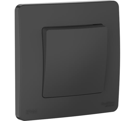 Переключатель Systeme Electric Blanca скрытая установка Антрацит 1 клавишный IP44 (сх.6), 10A, 250В BLNVS410606