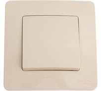 Переключатель Systeme Electric Blanca скрытая установка Бежевый 1 клавишный IP44 (сх.6), 10A, 250В BLNVS410607