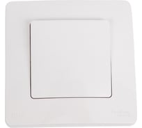 Переключатель Systeme Electric Blanca скрытая установка Белый 1 клавишный IP44 (сх.6), 10A, 250В BLNVS410601