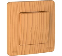 Переключатель Systeme Electric Blanca скрытая установка Ясень 1-клавишный IP44 (сх.6), 10A, 250В BLNVS410605