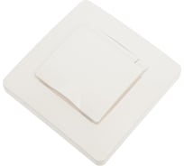 Розетка Systeme Electric Blanca скрытая установка Молочный с заземлением, со шторками, с крышкой, IP44, 16А, 250В BLNRS441112