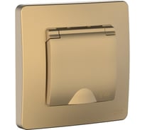 Розетка Systeme Electric Blanca скрытая установка Титан с заземляющим контактом, IP44, со шторками, с крышкой, 16А, 250В BLNRS441114