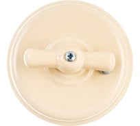 Поворотный выключатель Interior Electric керамика, слоновая кость, серия АРБАТ ВК003