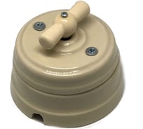 Выключатель МЕЗОНИНЪ проходной поворотный 2 положения, цвет - Слонов. Кость GE70404-02