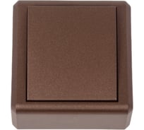 Накладной одноклавишный выключатель Vesta Electric коричневый Vesta-Electric Mega Choco FVK050334TKR