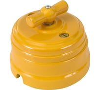 Выключатель МЕЗОНИНЪ проходной поворотный 2 положения, цвет-песочное золото GE70404-32