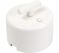 Выключатель МЕЗОНИНЪ "CILINDRO"  проходной, на 2 положения, цвет - белый GE90404-01