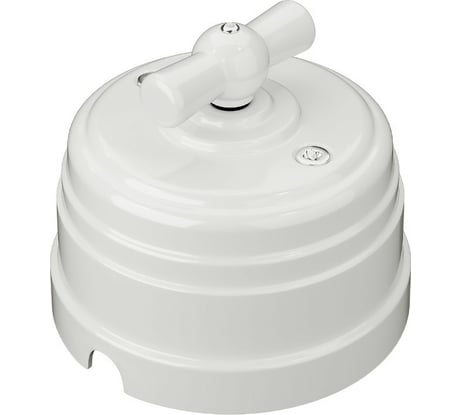 Выключатель МЕЗОНИНЪ пластиковый проходной 2 положения, цвет - белый GE30404-01