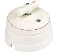 Выключатель МЕЗОНИНЪ проходной поворотный 2 положения, цвет- платина на белом GE70404-49