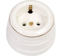 Розетка МЕЗОНИНЪ с заземляющим контактом, цвет - белый / платина на белом GE70301-49