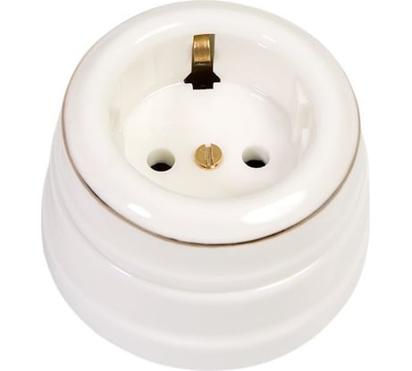 Розетка МЕЗОНИНЪ с заземляющим контактом, цвет - белый / платина на белом GE70301-49