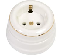 Розетка МЕЗОНИНЪ с заземляющим контактом, цвет - белый / золото на белом GE70301-50