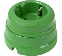 Розетка МЕЗОНИНЪ с заземляющим контактом, цвет - Зеленый GE70301-10