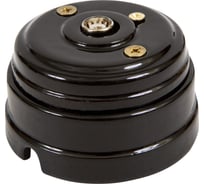 TV розетка МЕЗОНИНЪ оконечная, цвет - черный GE70321-05