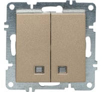 Выключатель двойной односторонний Arvia electric с подсветкой цвет титановый 50052000203