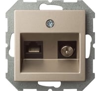 Розетка LIREGUS ТВ/интернет Эпсилон ITVKL-1-01 E/Ch шампань без рамки 28-315