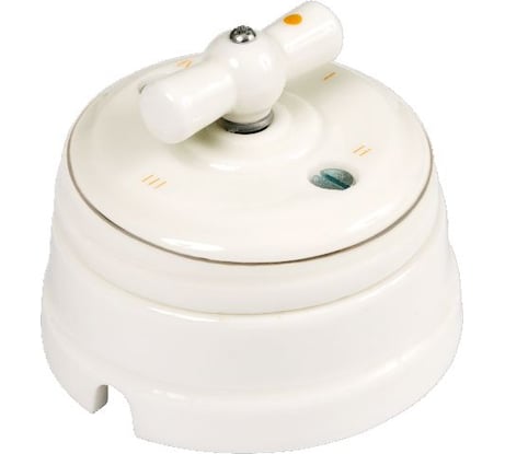 Выключатель МЕЗОНИНЪ поворотный на 4 положения, цвет - платина на белом GE70401-49