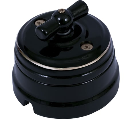 Выключатель МЕЗОНИНЪ поворотный на 4 положения, цвет - платина на черном GE70401-52