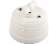 Выключатель МЕЗОНИНЪ проходной поворотный 2 положения, цвет - белый GE70404-01