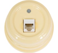 Розетка МЕЗОНИНЪ компьютерная RJ45, цвет - слоновая кость GE70341-02