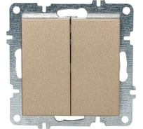Выключатель двойной односторонний Arvia Electric цвет титановый 50052000202