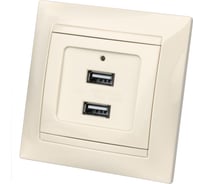 Розетка TDM 2USB порт 2,1А 5В слоновая кость "Лама" SQ1815-0141