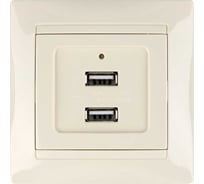 Розетка TDM ELECTRIC 2USB порт 2,1А 5В слоновая кость "Лама" SQ1815-0141