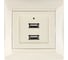 Розетка TDM ELECTRIC 2USB порт 2,1А 5В слоновая кость "Лама" SQ1815-0141 1