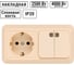 Комбинированный блок TDM ELECTRIC выкл. 2-кл. с/п 10А + розетка 2П+З 16А 250В БКВР IP20 слоновая кость "Ладога" SQ1801-0204 2
