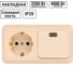 Комбинированный блок TDM ELECTRIC выкл. 1-кл. с/п 10А + розетка 2П+З 16А 250В БКВР IP20 слоновая кость "Ладога" SQ1801-0203 2