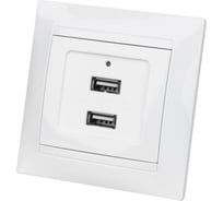 Розетка TDM 2USB порт 2,1А 5В белая "Лама" SQ1815-0041