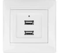 Розетка TDM ELECTRIC 2USB порт 2,1А 5В белая "Лама" SQ1815-0041