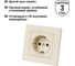 Розетка TDM ELECTRIC 2П+З 16А 250В с защ. шт. слоновая кость "Сенеж" SQ1816-0133 4