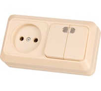 Комбинированный блок TDM ELECTRIC выкл. 2-кл. с/п 10А + розетка 2П 10А 250В БКВР IP20 слоновая кость "Ладога" SQ1801-0208