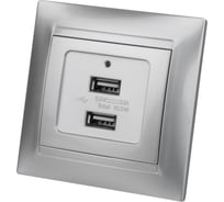 Розетка TDM ELECTRIC 2USB порт 2,1А 5В металлик "Лама" SQ1815-0241